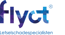 flyct-logo-ft